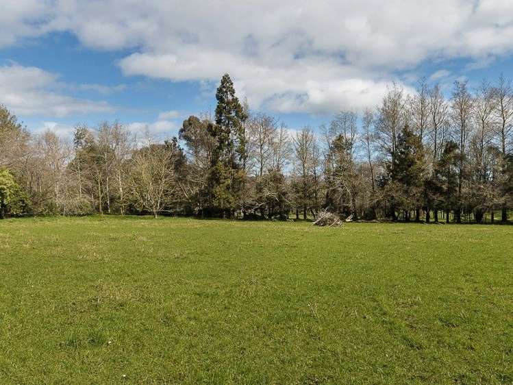 67 Andrews Road Onewhero_11