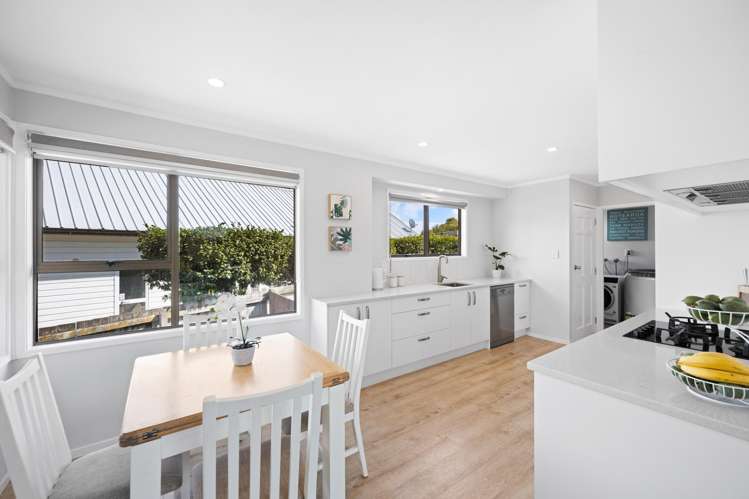 12 Hibiscus Avenue Hamilton Lake_6