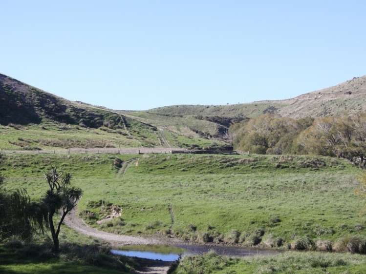 1007 Motunau Beach Road Motunau_6