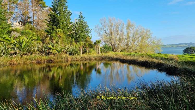 224A Petley Road Paparoa_7