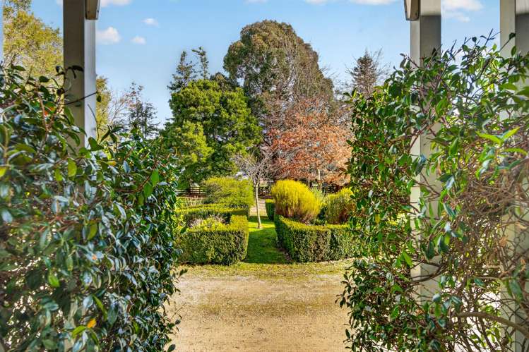 41 Millard Avenue Kuripuni_21