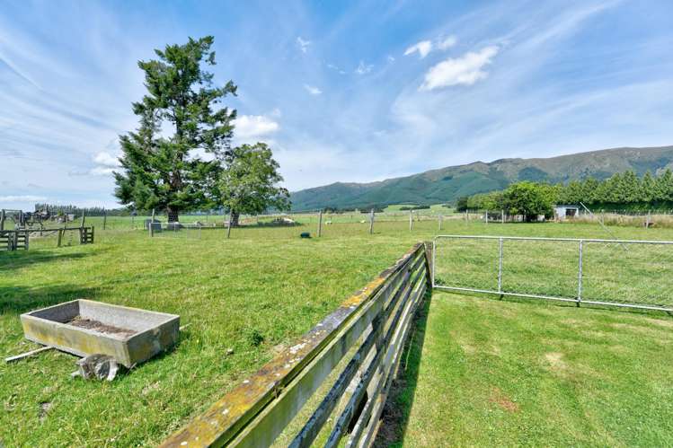 294 Sheddan Road Tapanui_28
