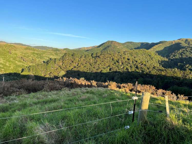 1469 Tuakau Bridge-Port Waikato Road Tuakau_19