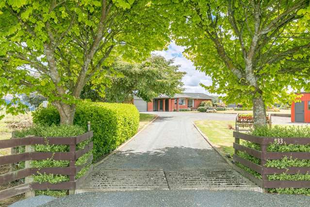 533 Candy Road Te Awamutu_1