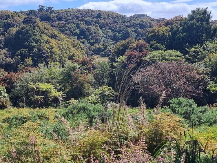 22 Miro Crescent Halfmoon Bay_2