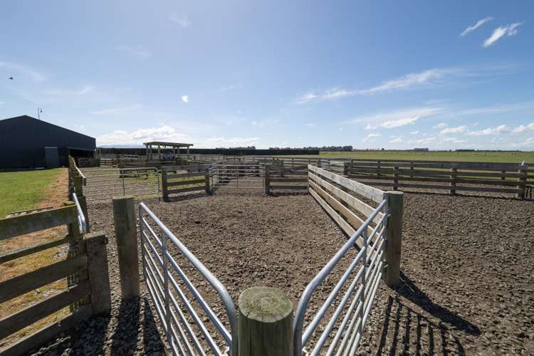 2378 Methven Highway Methven_13