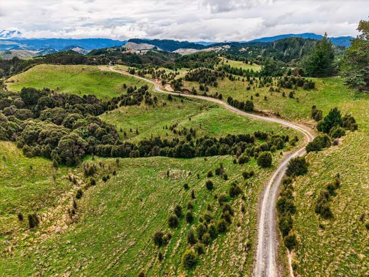 3086 Tuahu Road Tauwhareparae_8