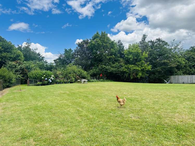 10 Richmal Street Waihi_12