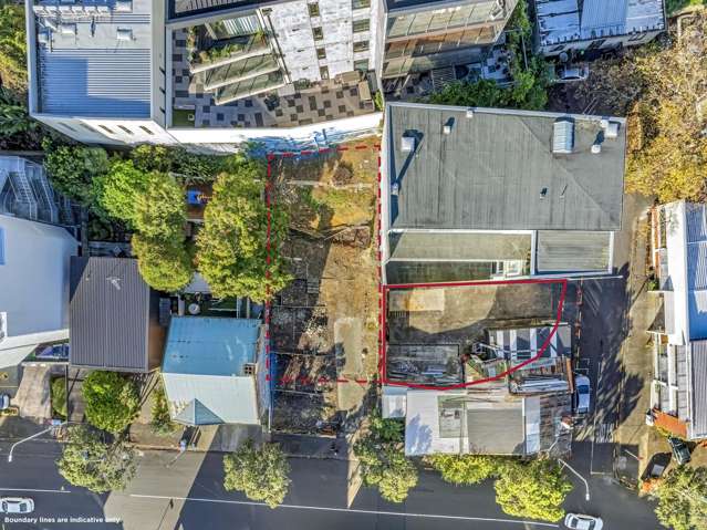 40 Karaka Street Eden Terrace_2