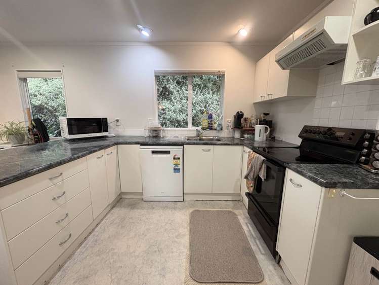 10A Carrs Place Ellerslie_4