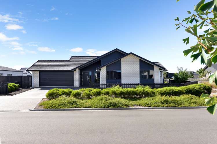 12 Lulu Avenue Chartwell_20