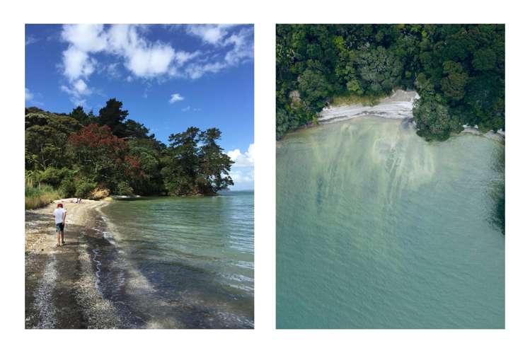 73 Takahe Road Titirangi_19