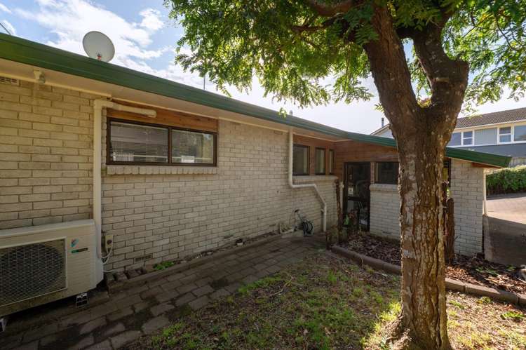 17B Peachgrove Terrace Hillcrest_12