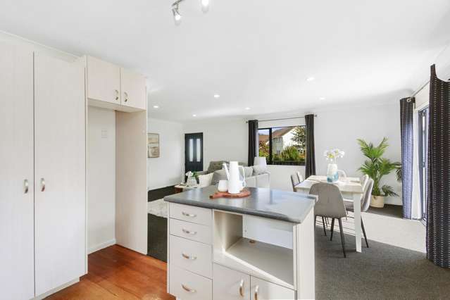 3 Taita Drive Boulcott_4