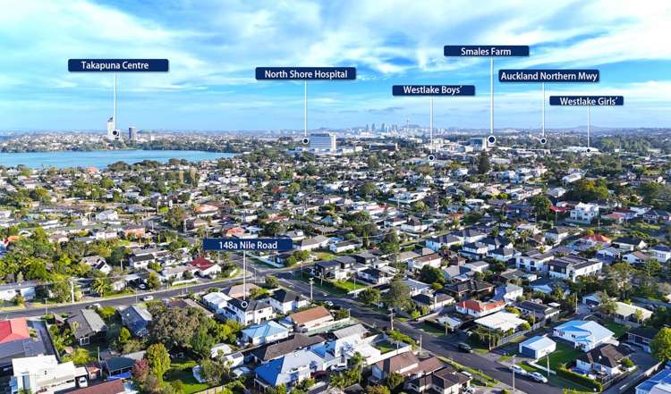 148a Nile Road Milford_32