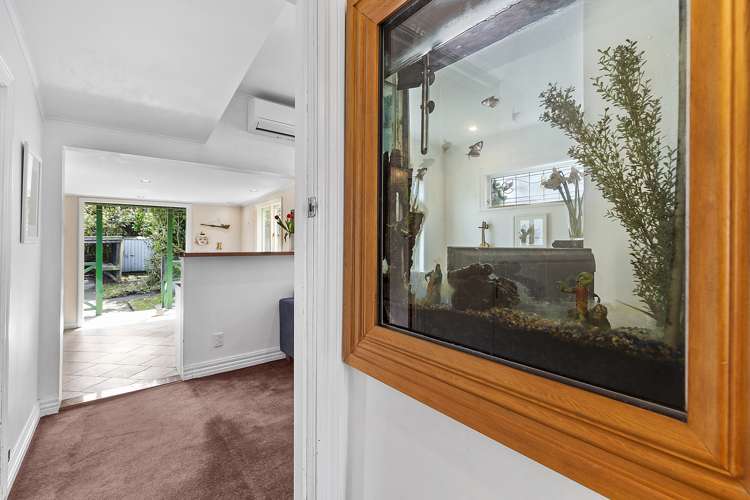 27 Donald Mclean Street Newtown_2