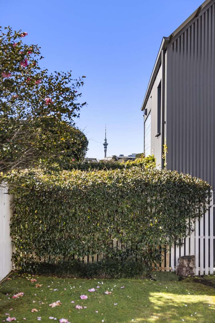 47 View Road Mt Eden_17