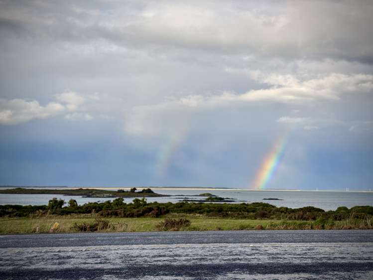 2417 Bluff Highway Greenpoint_32