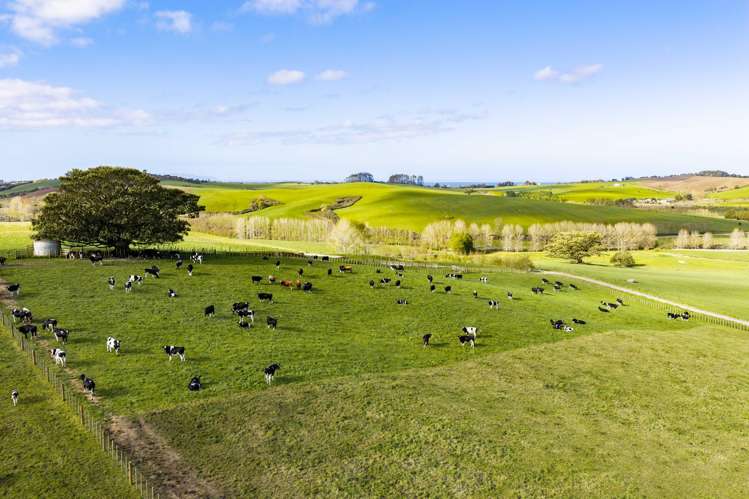 Ocean View Road and Busbridge Road Te Arai_21