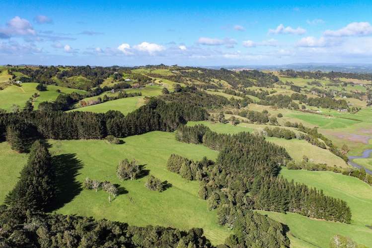 Kiwitahi Road Helensville_8