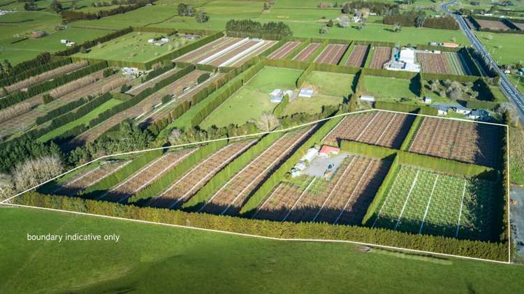 9765 State Highway 2 Waihi_0