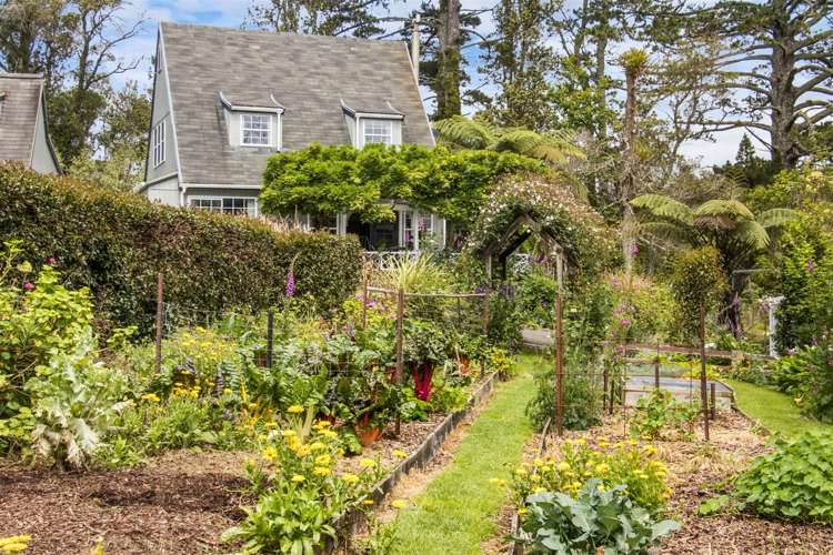 202c Thompsons Track Aongatete_18