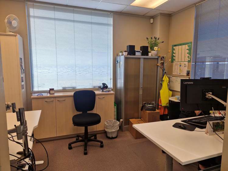 219 Collingwood Street Hamilton Central_8