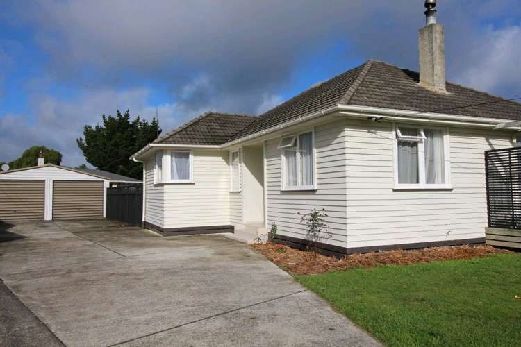 20 Ward Street Bulls_27