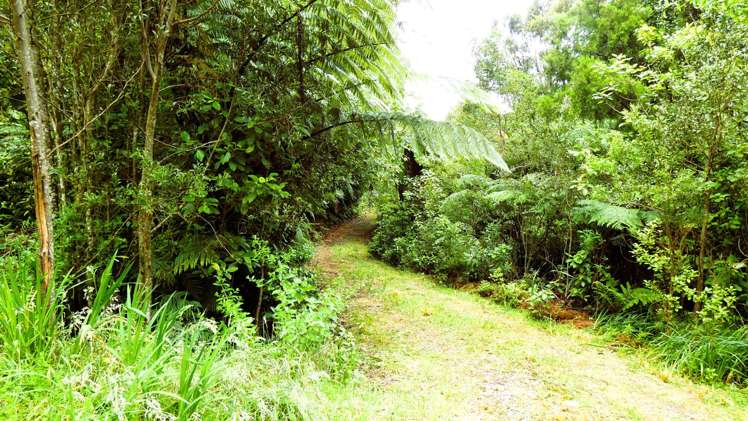 5296D State Highway 6 Punakaiki_11