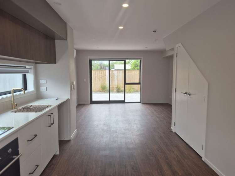 21B Ferguson Street Levin_4