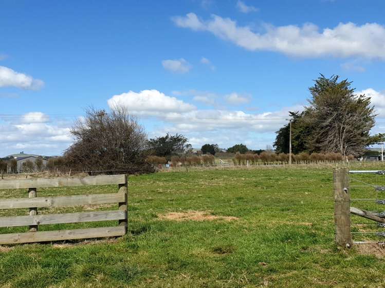 1a Elm Place Waipukurau_7