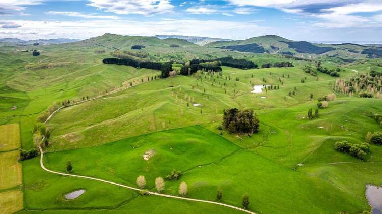 139 Clareinch Road Omakere_1