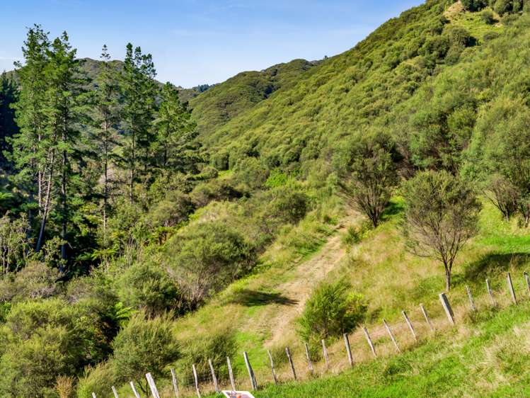 1870 Okau Road Urenui_18