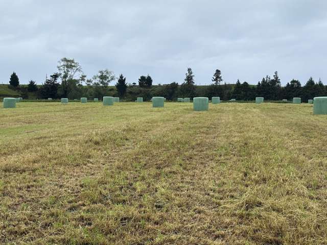 163 Ohanga Road Onaero_3