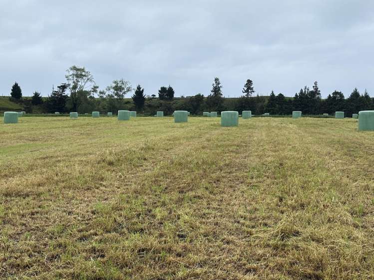 163 Ohanga Road Onaero_3