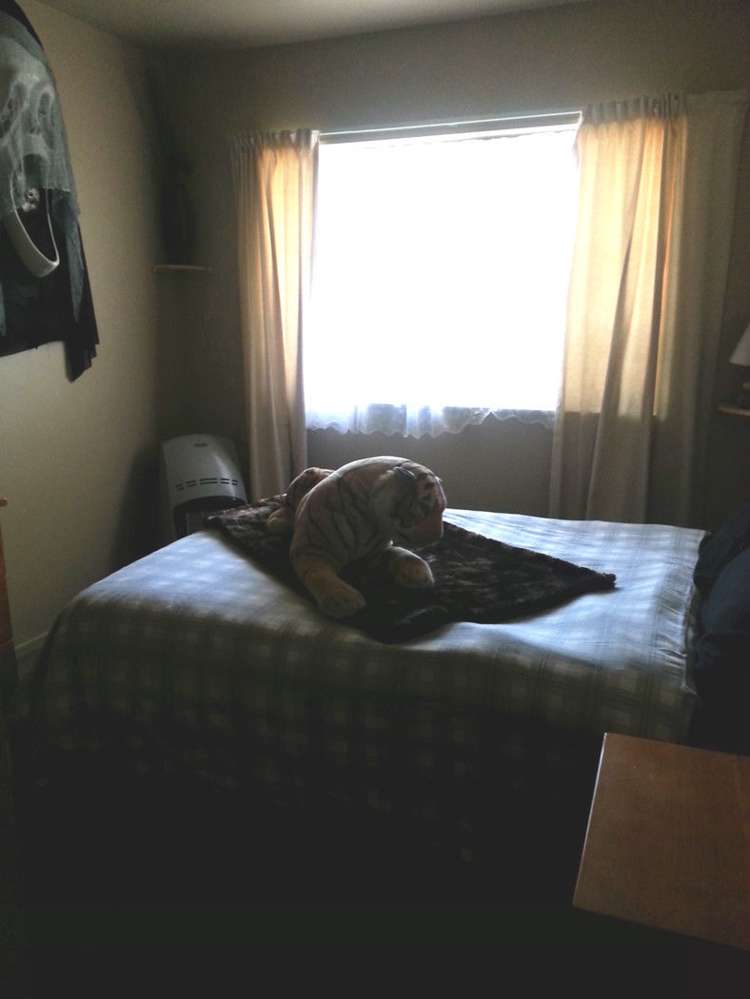 16 Derby Street Westport_15