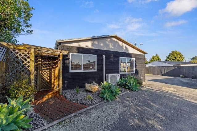 12a Pharazyn Street Feilding_1