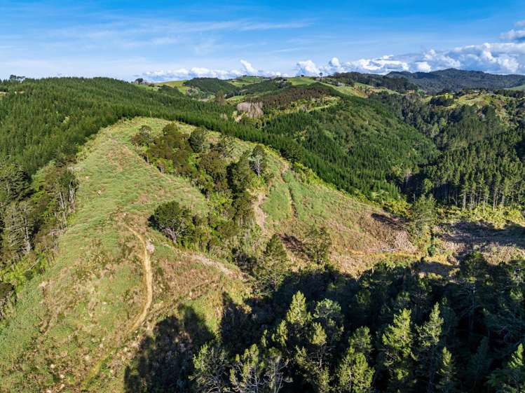 225 Rocky Cutting Road Papamoa_16