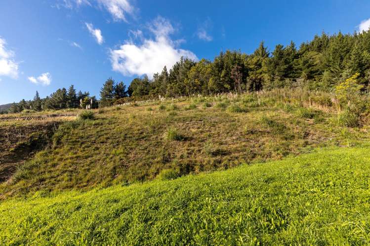 6 Raukura Rise Picton_11