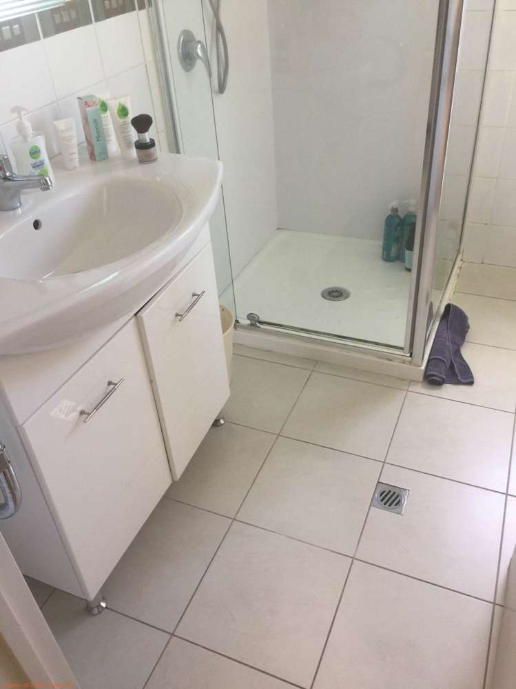 62 Dale Crescent Pakuranga_8