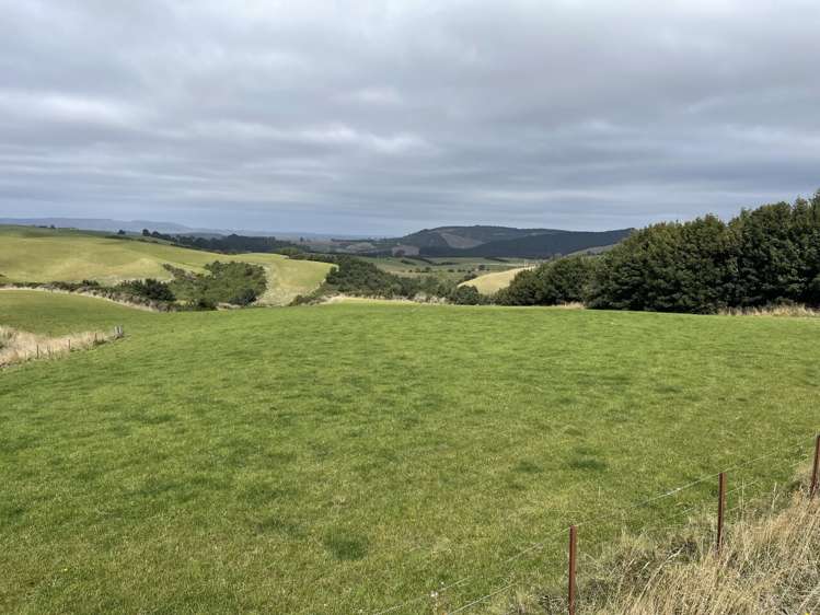 Manuka Gorge Highway Waitahuna_5