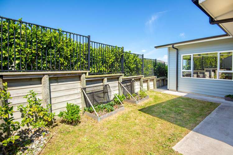 126 John Burke Drive Aotea_11