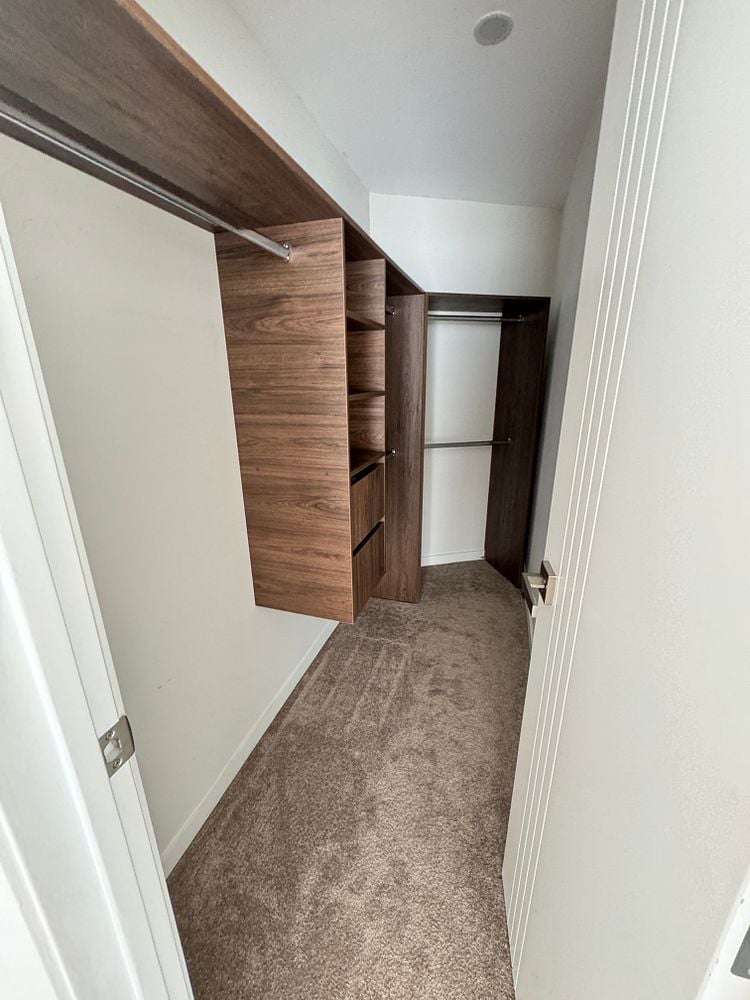 60b Reihana Street Orakei_12