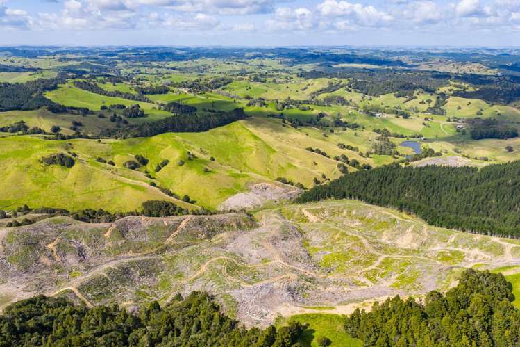 131 Taipuha Road Waiotira_13