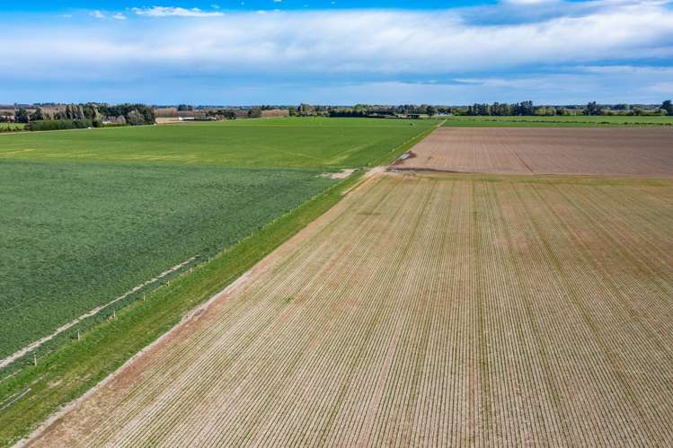 Selwyn Lake Road Leeston_13