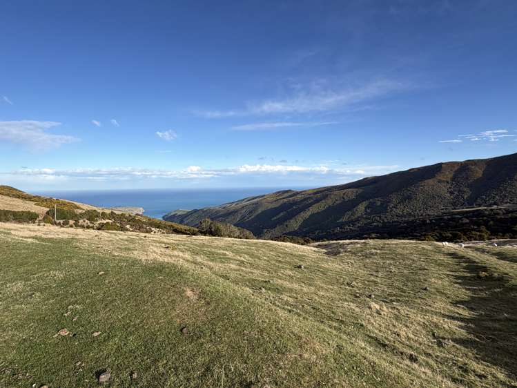 490 Long Bay Road Akaroa_10