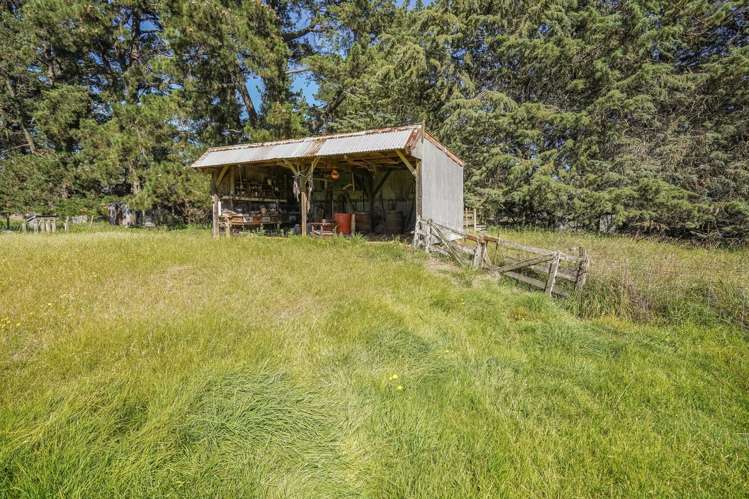 373 Lehmans Road Fernside_25