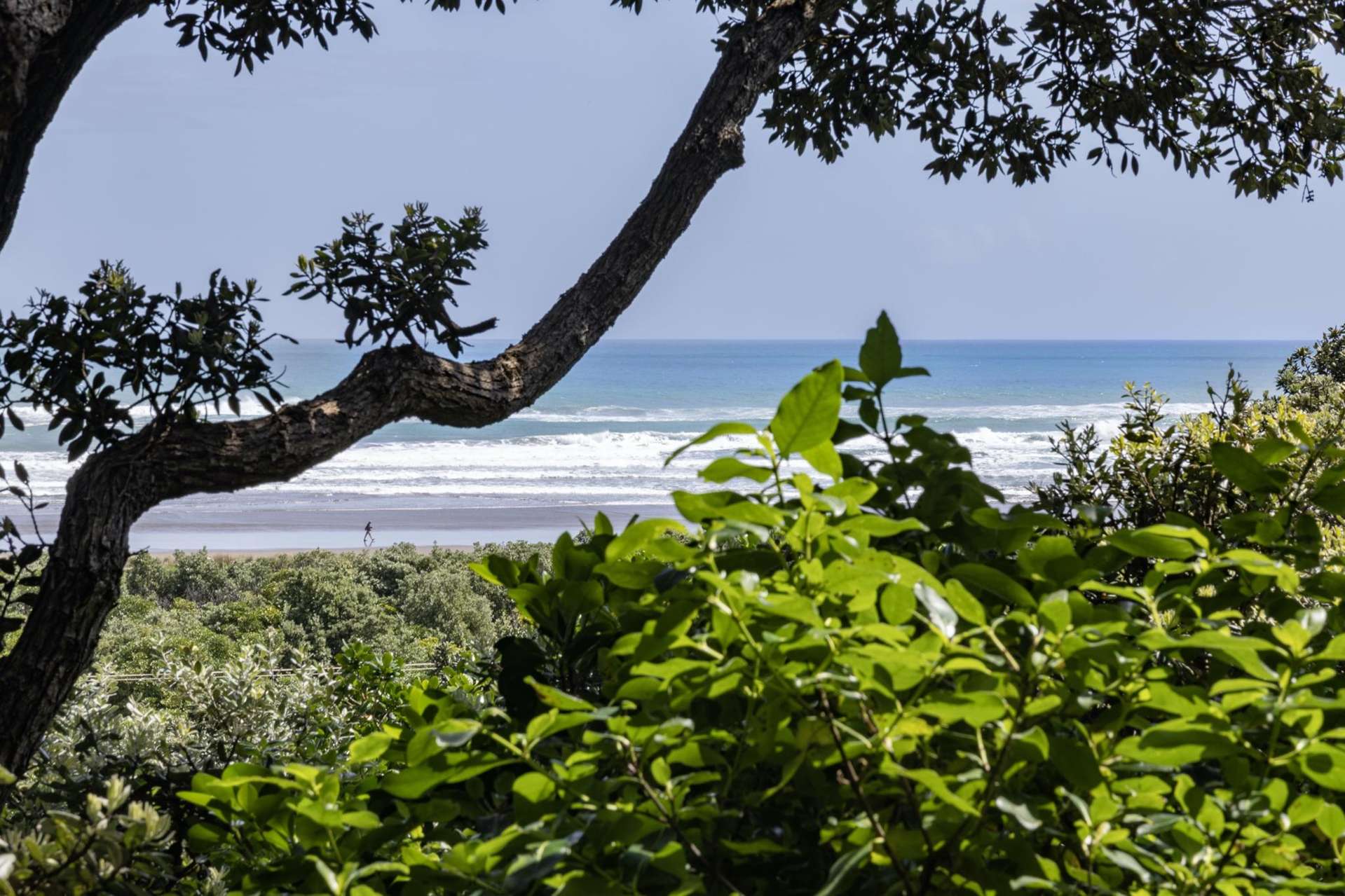 59 North Piha Road Piha_0