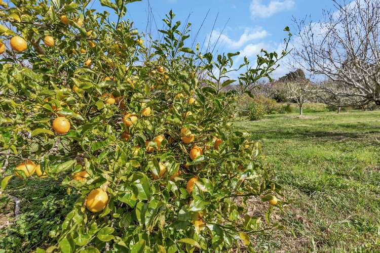 9 Crawford Road Maungakaramea_20