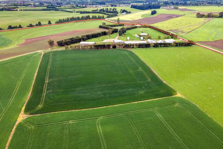 38 Doake Road Pleasant Point_7